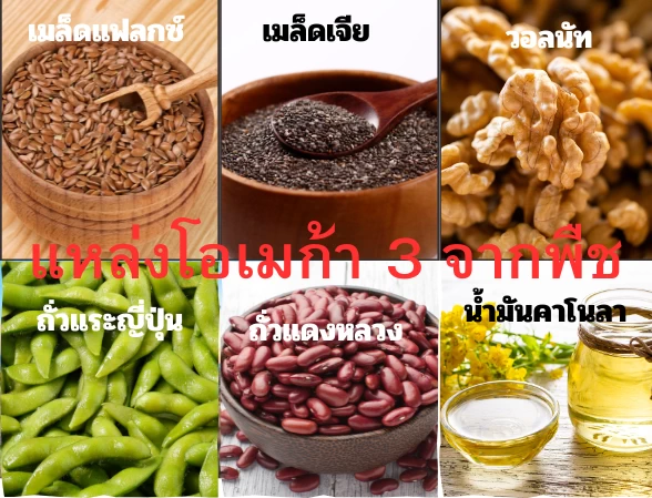 โอเมก้า3ที่มาจากพืช