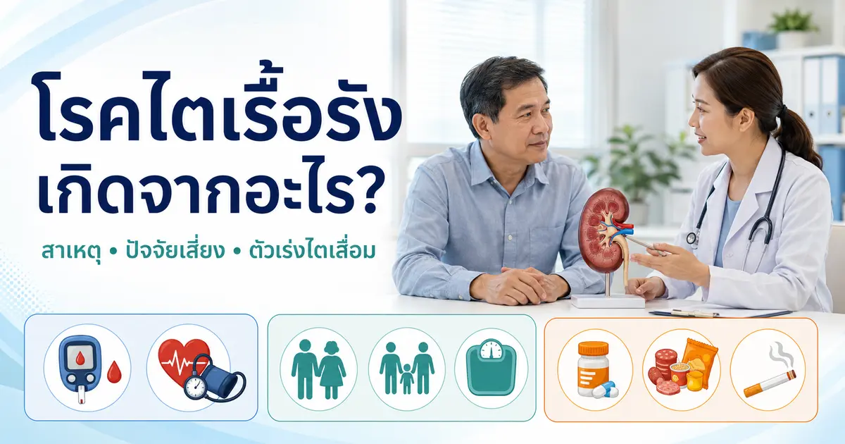 โรคไตเรื้อรังเกิดจากอะไร สาเหตุ ปัจจัยเสี่ยง และตัวเร่งไตเสื่อม
