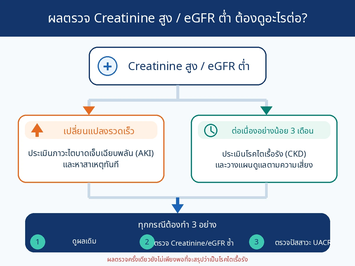 แผนผัง Creatinine สูง eGFR ต่ำ แยกระหว่างการเปลี่ยนแปลงรวดเร็วที่ต้องประเมิน AKI กับความผิดปกติต่อเนื่องอย่างน้อย 3 เดือนที่ต้องประเมิน CKD
