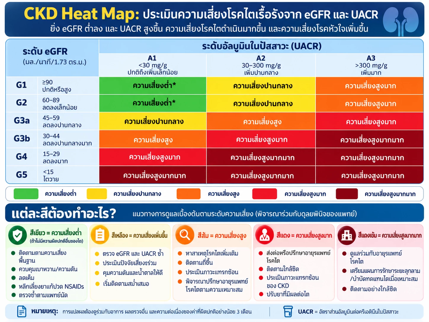 ภาพการตรวจสุขภาพไตด้วยเลือดและปัสสาวะ เช่น Creatinine eGFR UACR และ UPCR