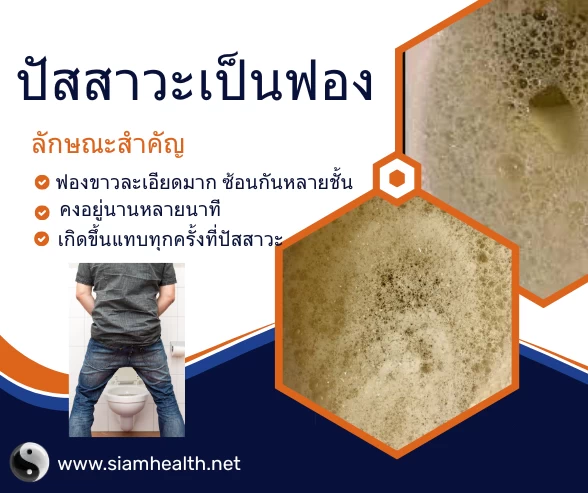 ปัสสาวะเป็นฟอง