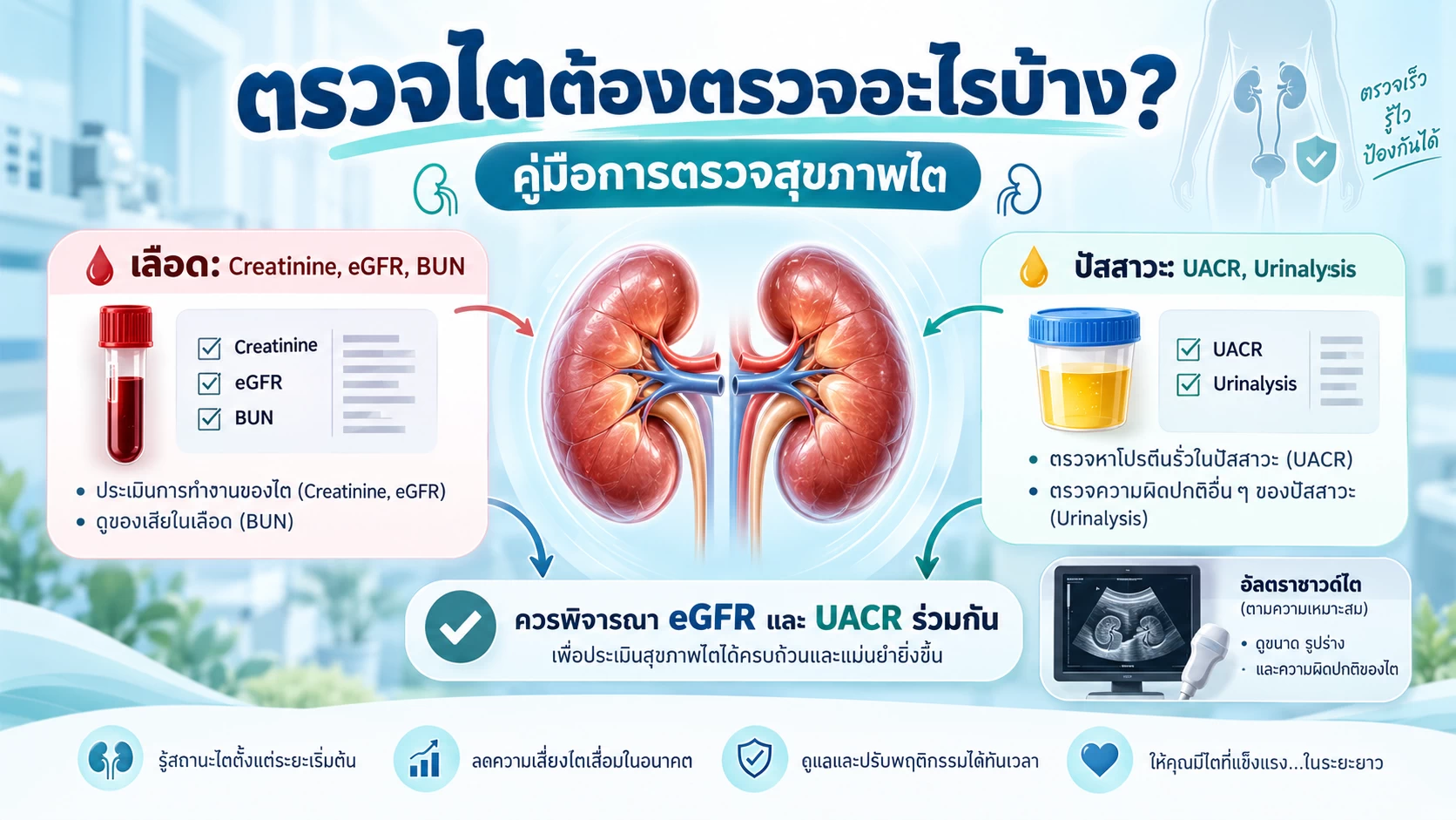 ภาพการตรวจสุขภาพไตด้วยเลือดและปัสสาวะ เช่น Creatinine eGFR UACR และ UPCR