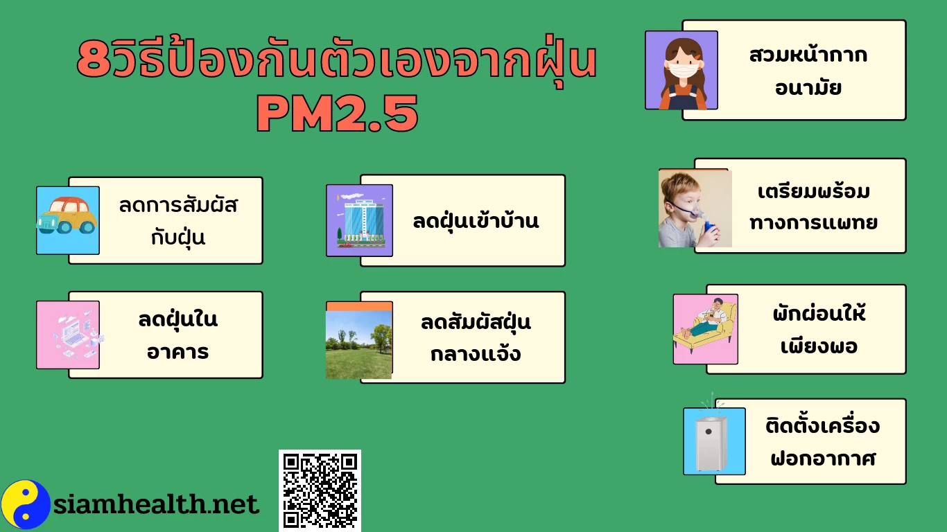 ฝุ่นpm2.5 ฝุ่น PM2.5
