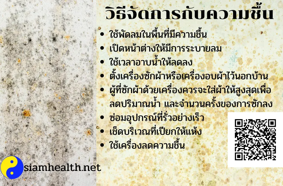 เชื้อราในบ้าน
