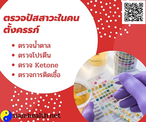 การตรวจปัสสาวะในคนตั้งครรภ์