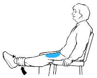 (3) Lower Leg Extension