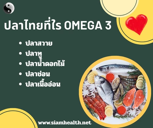 ปลาไทยที่มี omega3