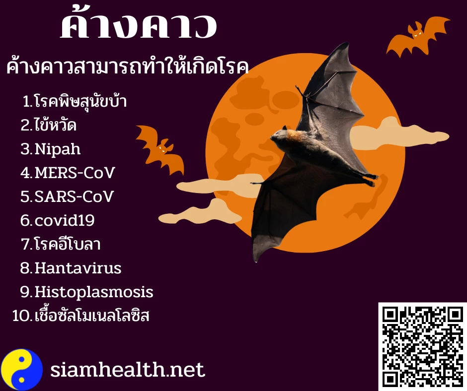 ค้างคาวนำโรค