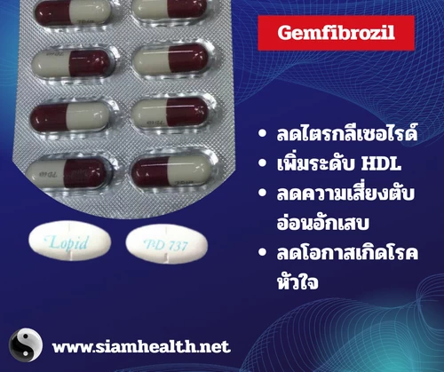 gemfibrozil รักษาโรคอะไร